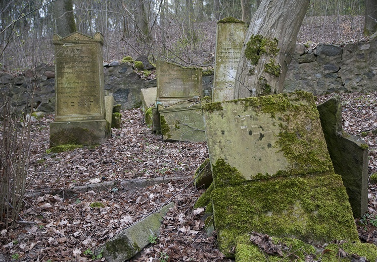 Sprzątanie żydowskiego cmentarza w Świdwinie