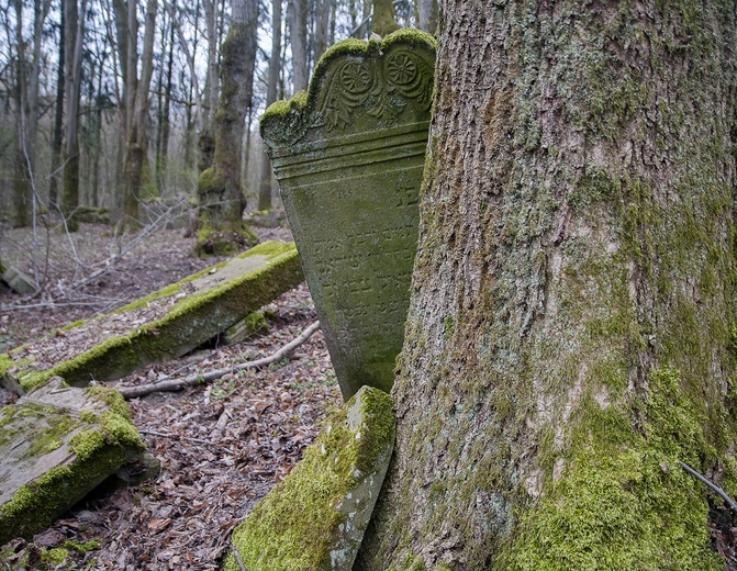 Sprzątanie żydowskiego cmentarza w Świdwinie