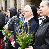 Niedziela Palmowa w Koszalinie