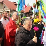 Lipnica Murowana. Rekordowa palma ma blisko 38 m