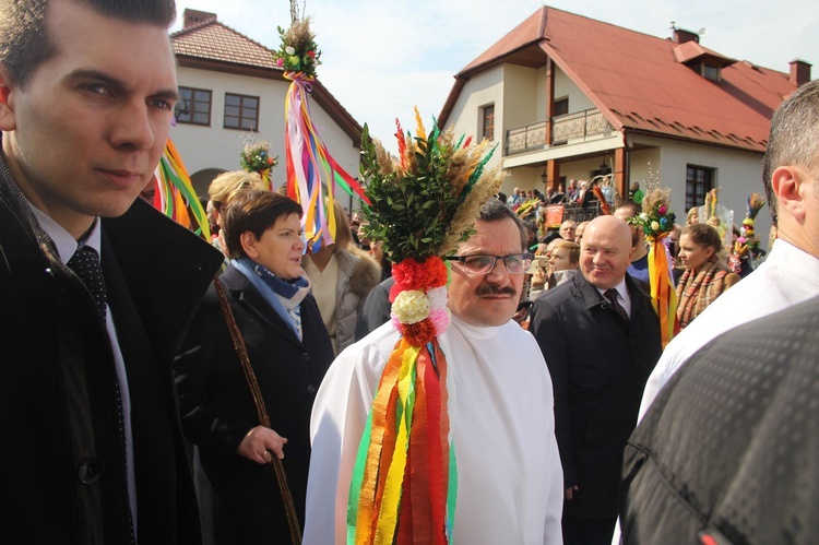 Lipnica Murowana. Rekordowa palma ma blisko 38 m