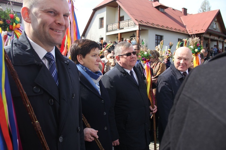 Lipnica Murowana. Rekordowa palma ma blisko 38 m