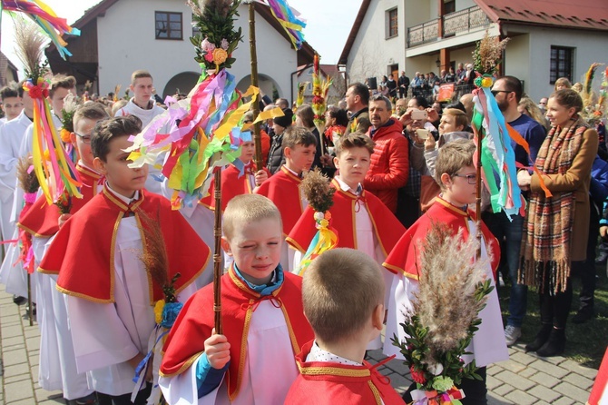 Lipnica Murowana. Rekordowa palma ma blisko 38 m