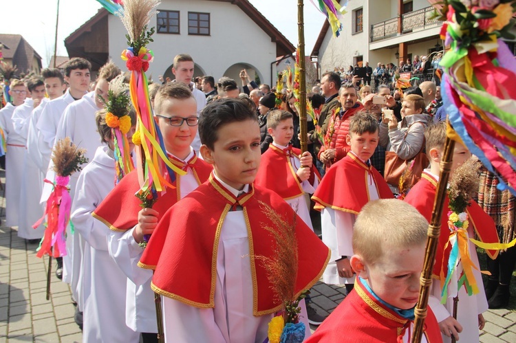 Lipnica Murowana. Rekordowa palma ma blisko 38 m