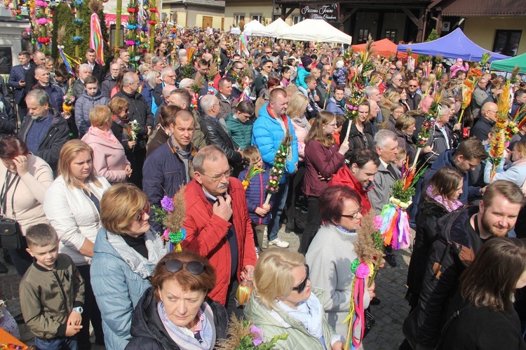 Lipnica Murowana. Rekordowa palma ma blisko 38 m