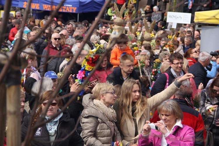 Lipnica Murowana. Rekordowa palma ma blisko 38 m