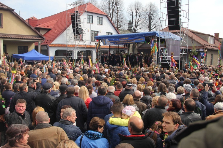 Lipnica Murowana. Rekordowa palma ma blisko 38 m