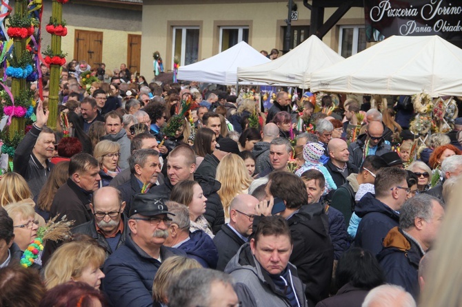 Lipnica Murowana. Rekordowa palma ma blisko 38 m