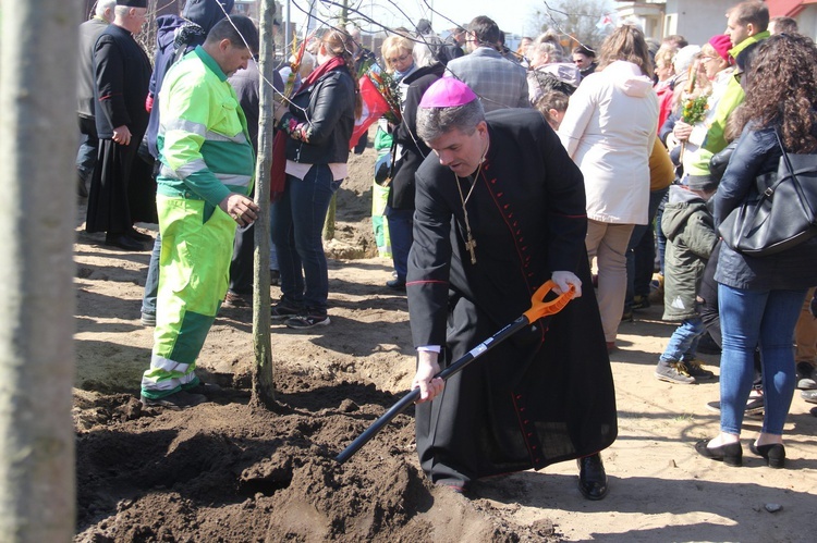 Niedziela Palmowa w archidiecezji gdańskiej - cz. 2