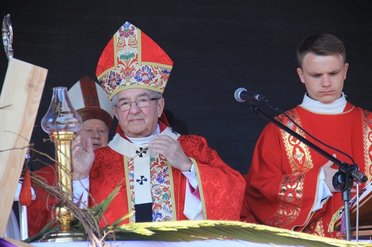 Niedziela Palmowa w archidiecezji gdańskiej - cz. 2