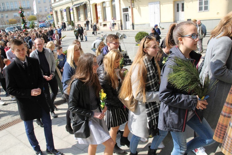 Niedziela Palmowa młodych w Bielsku-Białej 2019 - procesja do katedry