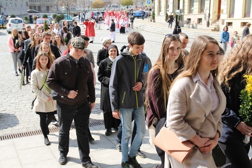 Niedziela Palmowa młodych w Bielsku-Białej 2019 - procesja do katedry