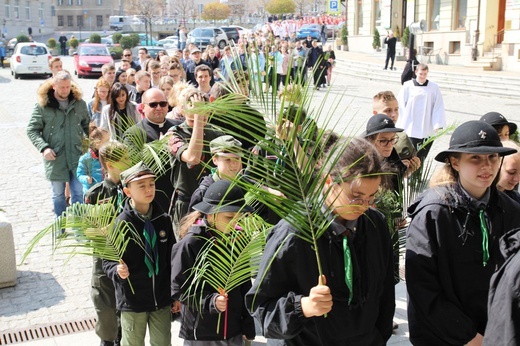 Niedziela Palmowa młodych w Bielsku-Białej 2019 - procesja do katedry