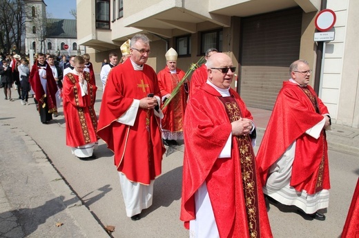 Niedziela Palmowa młodych w Bielsku-Białej 2019 - procesja do katedry