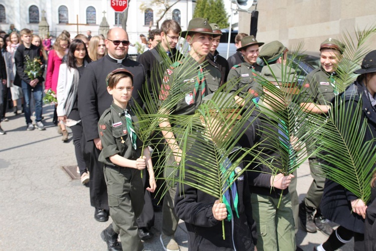 Niedziela Palmowa młodych w Bielsku-Białej 2019 - procesja do katedry