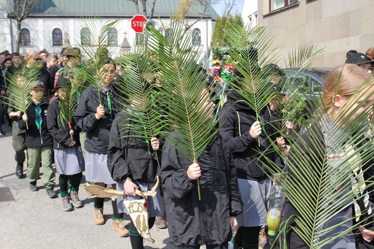 Niedziela Palmowa młodych w Bielsku-Białej 2019 - procesja do katedry