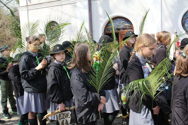 Niedziela Palmowa młodych w Bielsku-Białej 2019 - procesja do katedry