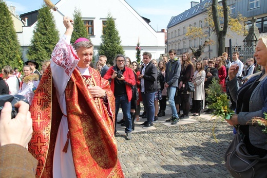 Niedziela Palmowa młodych w Bielsku-Białej 2019 - procesja do katedry