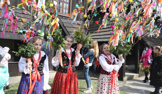 Rozłożyste i zdobione kwiatami oraz wstążkami - takie mają być palmy gilowickich dziewcząt.