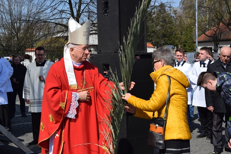 Niedziela Palmowa w Łowiczu