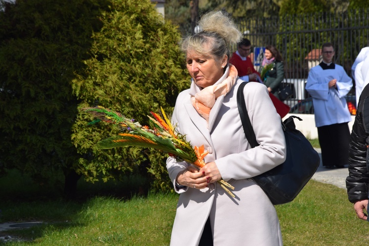 Niedziela Palmowa w Łowiczu