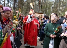 Palmy poświęcił bp Henryk Tomasik