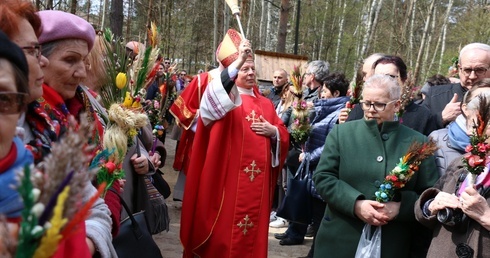 Palmy poświęcił bp Henryk Tomasik