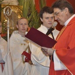 Niedziela Palmowa młodych diecezji płockiej