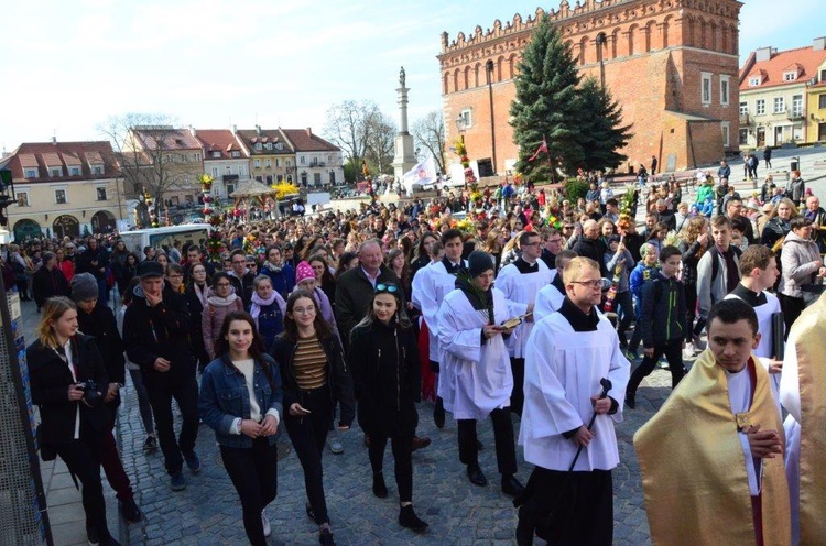 Niedziela Palmowa młodych w Sandomierzu 