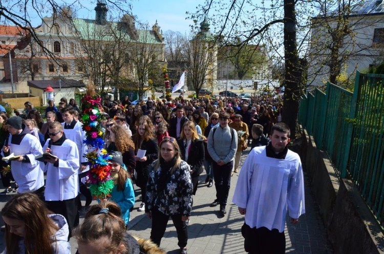 Niedziela Palmowa młodych w Sandomierzu 