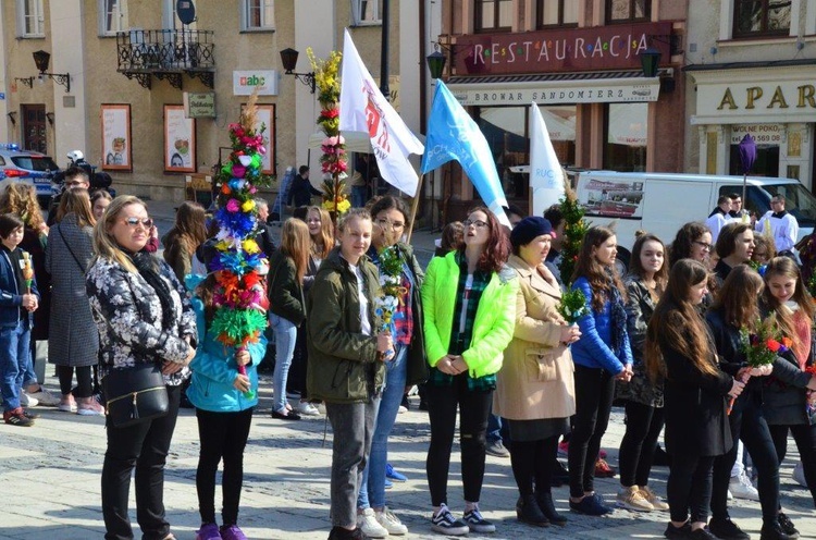 Niedziela Palmowa młodych w Sandomierzu 