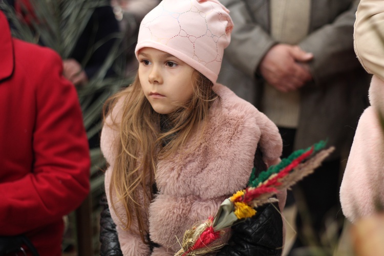 Niedziela Palmowa w Łowiczu - cz.2 