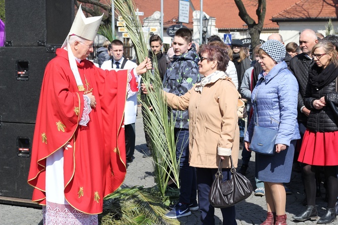 Niedziela Palmowa w Łowiczu - cz.2 