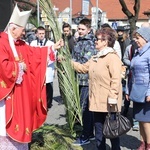 Niedziela Palmowa w Łowiczu - cz.2 