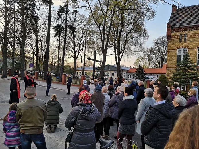 Niedziela Palmowa i Droga Krzyżowa - Krosno Odrzańskie