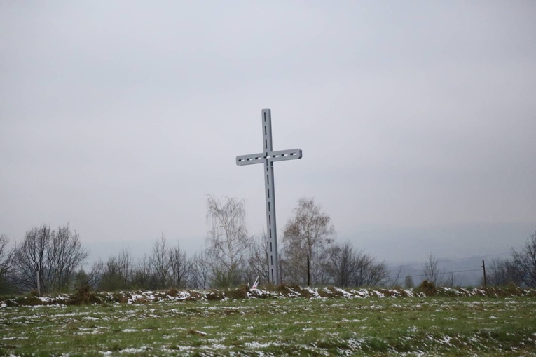 Poświęcenie krzyża w Biegonicach