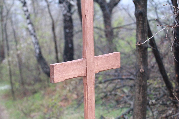 Poświęcenie krzyża w Biegonicach