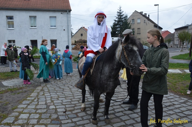 Niedziela Palmowa w Sulęcinie