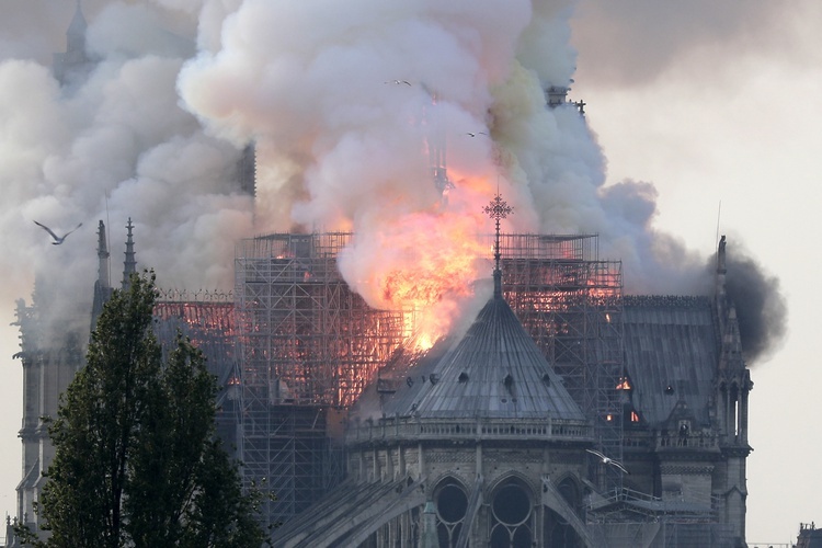 Katedra Notre Dame: Korona Cierniowa uratowana