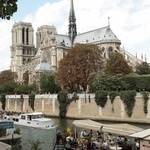 Katedra Notre Dame