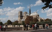 Katedra Notre Dame