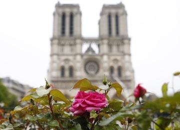 Do Paryża z całego świata płyną wyrazy współczucia po pożarze Notre Dame