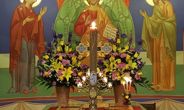 Pascha radykalnej przemiany