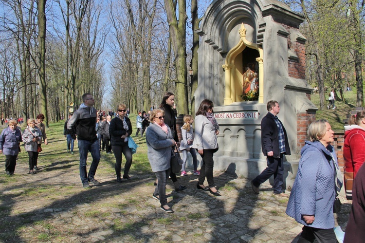 Potok Cedron w Piekarach Śląskich