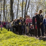 Droga Krzyżowa w Dzikowie