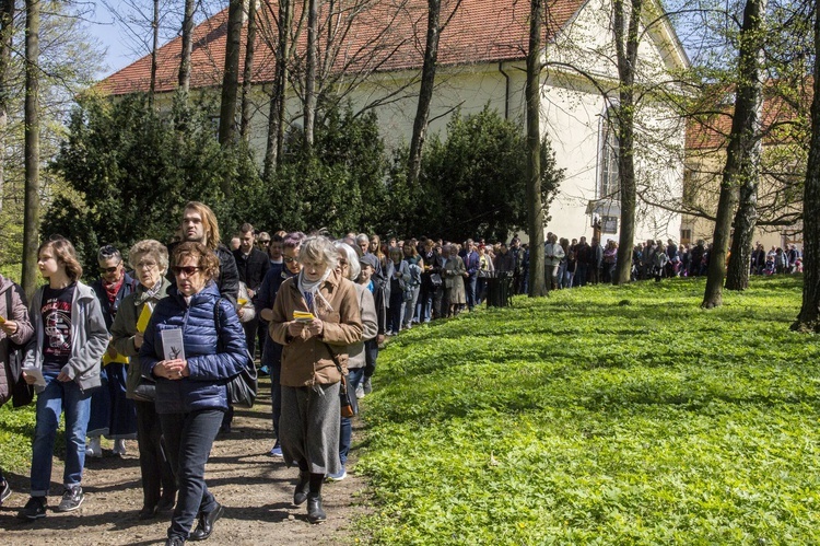 Droga Krzyżowa w Dzikowie