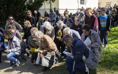 Dzikowska Via Dolorosa