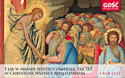 Brak tytułu