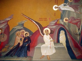 Zwycięski program życia