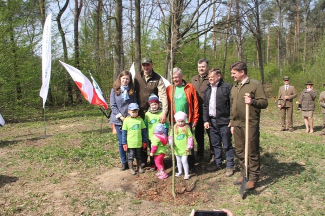 Już rośnie młody las